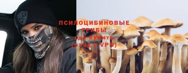 ешки Алексеевка