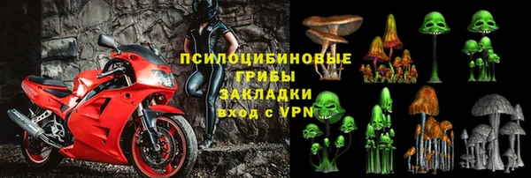 ешки Алексеевка