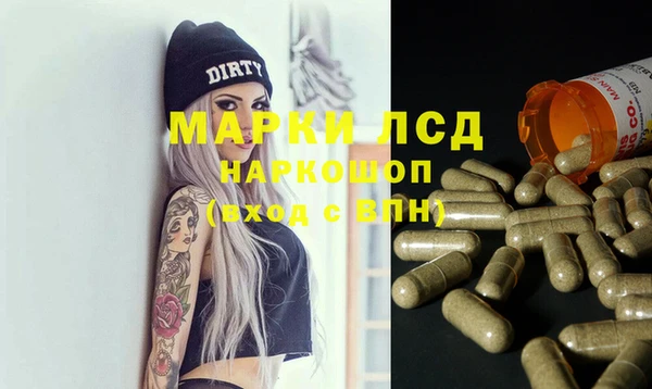 крисы Алзамай