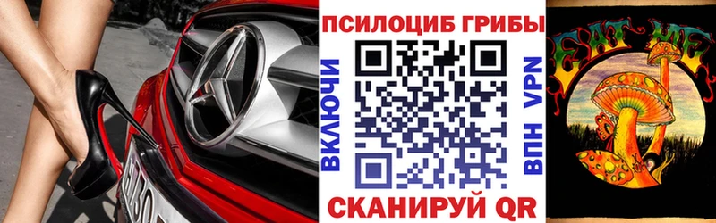 магазин продажи наркотиков  Спас-Деменск  Псилоцибиновые грибы GOLDEN TEACHER 